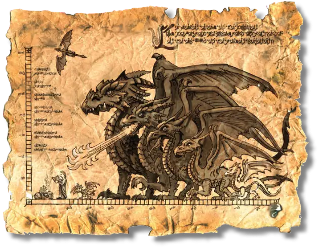 Dragon Size Chart