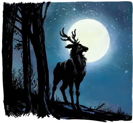 Forest Deer