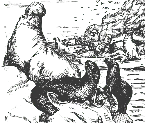 Mammoth seal