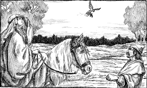 Falconry