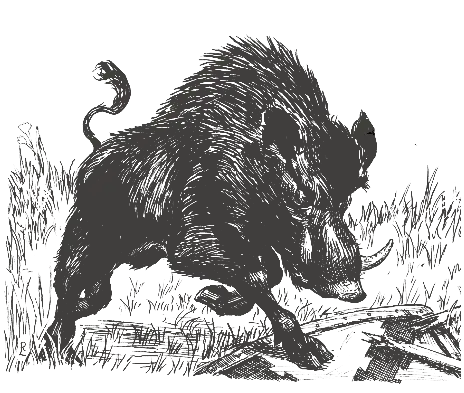 Noron in the shape of a Black Boar