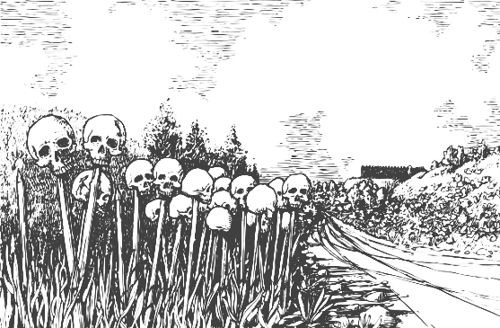 Avenue of Skulls