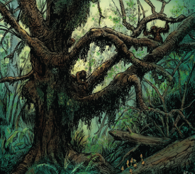 Mossy Tree